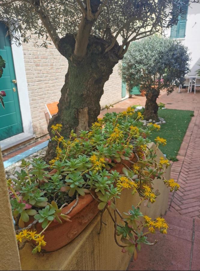 B&B La Chicca Ραβένα Εξωτερικό φωτογραφία