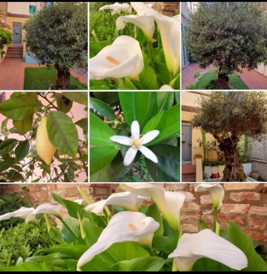 B&B La Chicca Ραβένα Εξωτερικό φωτογραφία
